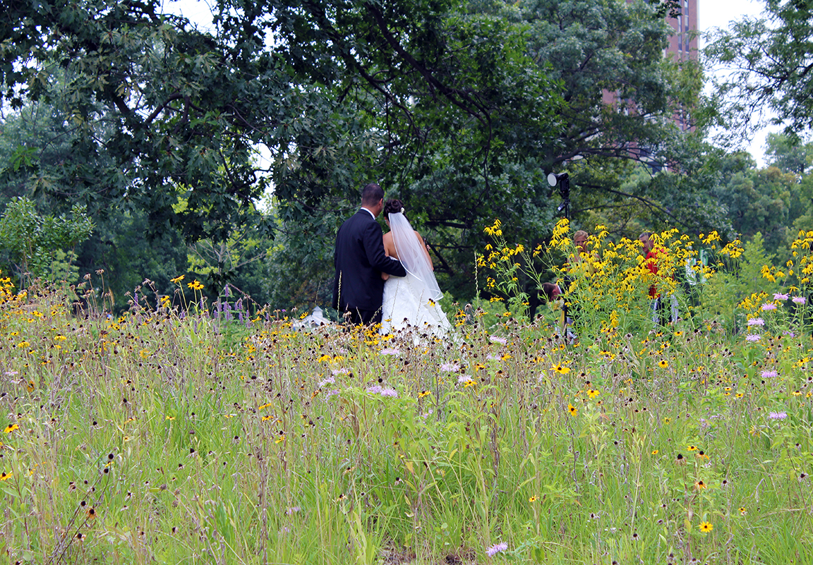 [August 6, 2011] Bride and Groom and Flowers, Lincoln Park Zoo Nature Boardwalk 